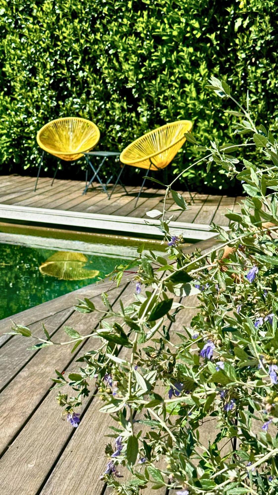 Boutique Hotel Artemisia Bastelica Exterior foto